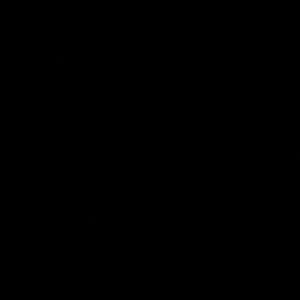 Meet your Posher, Adolfo